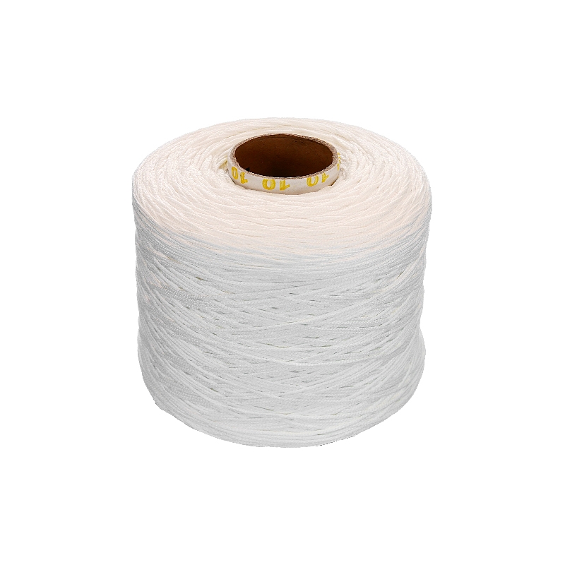 ELASTIC CORD 2 MM   WHITE 501 POLYESTER 1250       MB