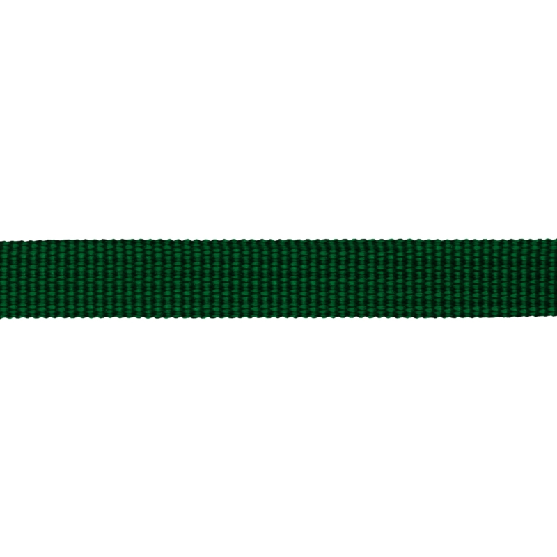 Taśma nośna rypsowa 10 mm zielona (876)