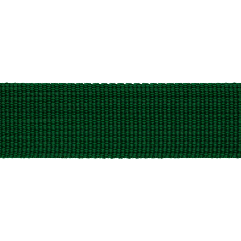 Taśma nośna rypsowa 25 mm zielona (876)