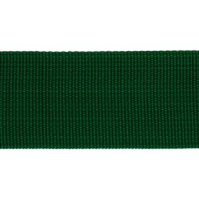 Taśma nośna rypsowa 40 mm zielona (876)