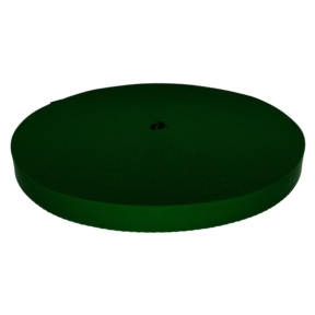 Taśma smyczowa poliestrowa 20 mm/0,9 mm zielona  (876)