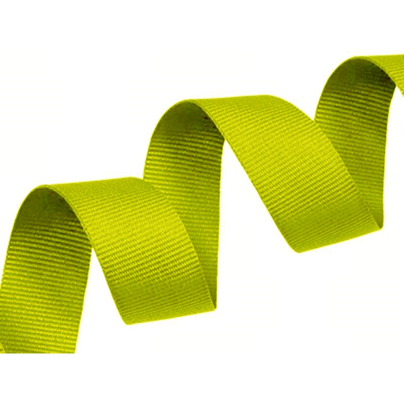 Grosgrain ribbon 20 mm/0,40 mm light green (041)