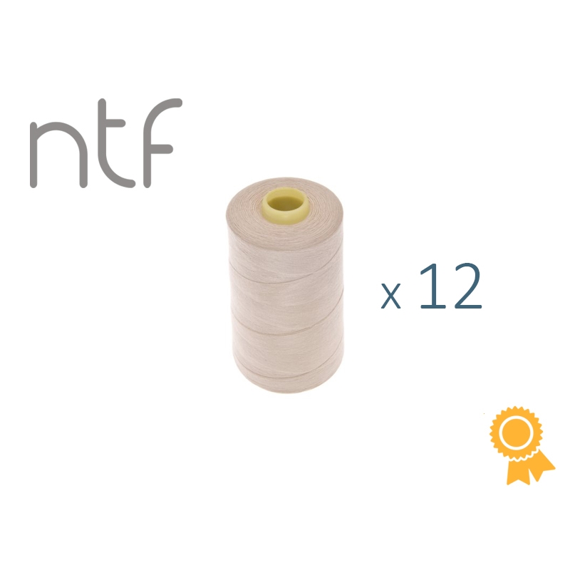 POLYESTER THREADS NTF 40/2 LIGHT BEIGE  A670 1000 M x 12 PCS.