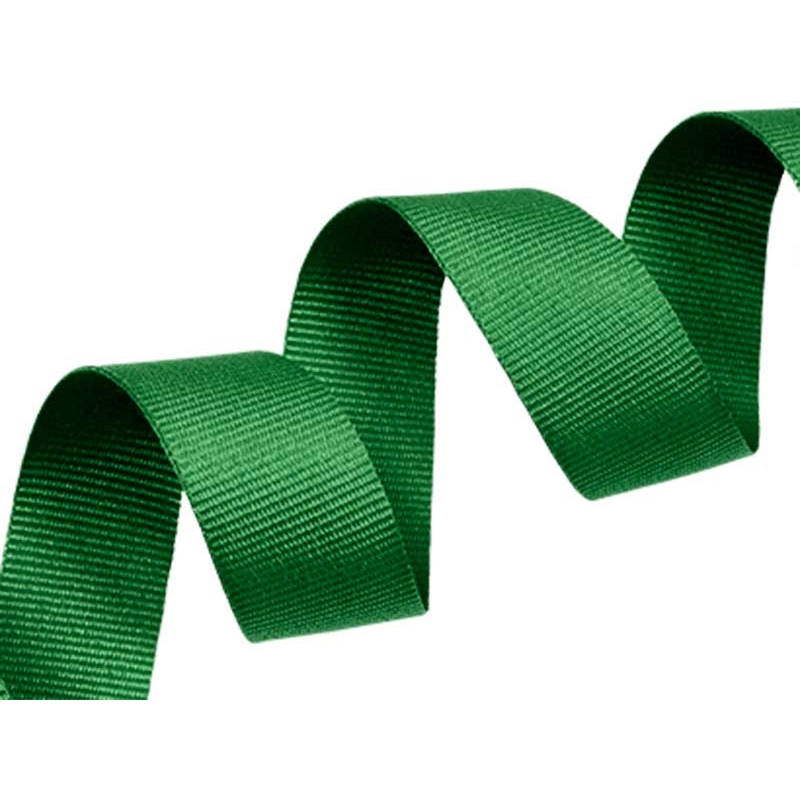 Grosgrain ribbon 20 mm/0,40 mm green (876)