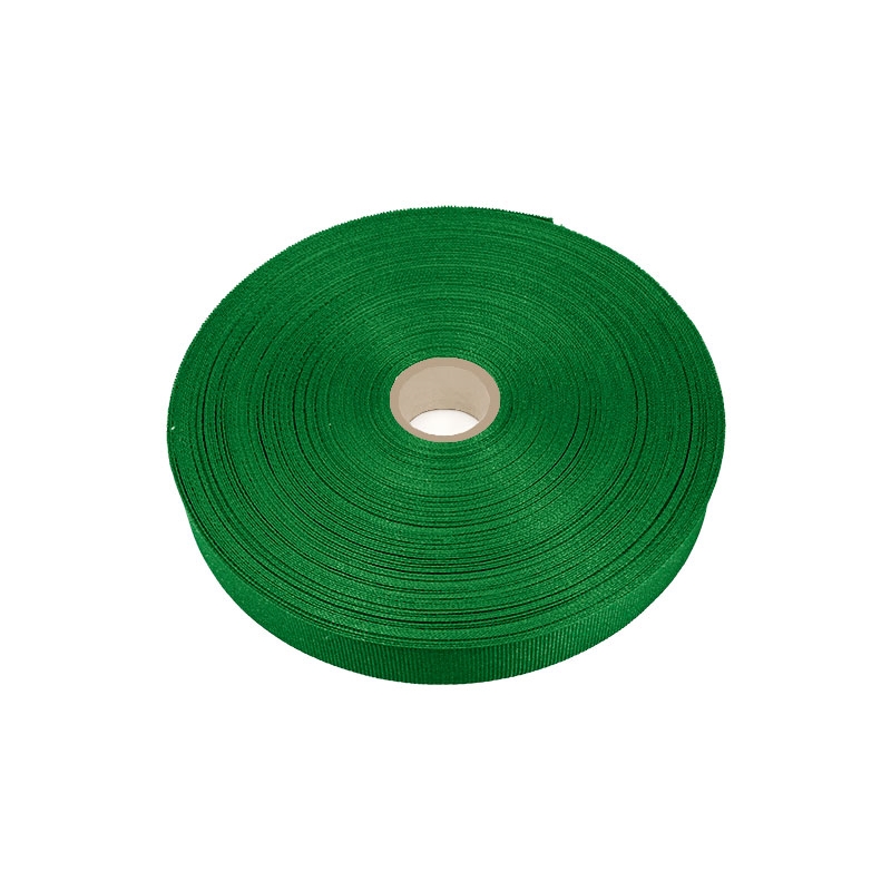 Grosgrain ribbon 20 mm/0,40 mm green (876)