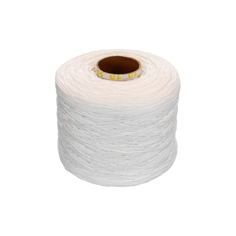 GUMMIKORDEL 2 MM WEIß 501 POLYESTER  1490  LM