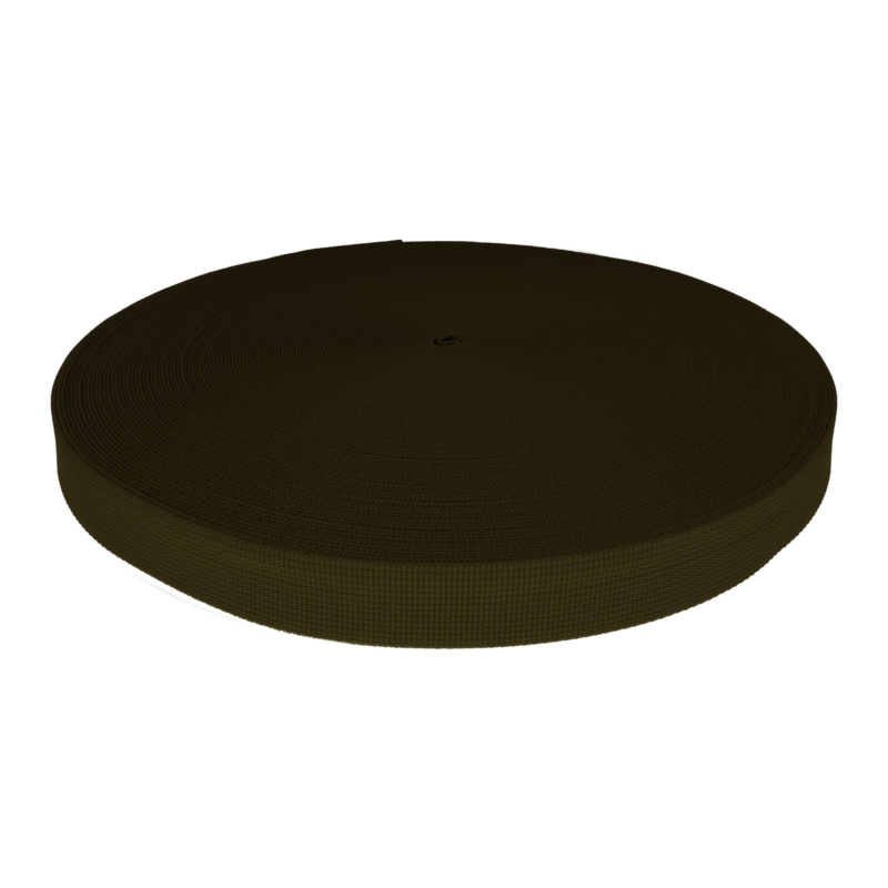 WEBBING TAPE P10 25 MM OLIVE 305 PES  