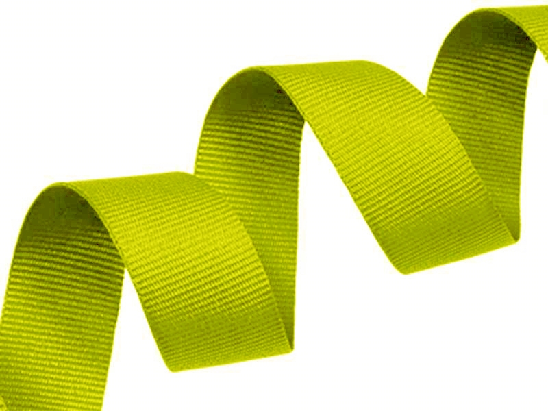 Grosgrain ribbon 20 mm/0,40 mm light green (041) Grosgrain ribbon 20 mm/0,40 mm light green (041)