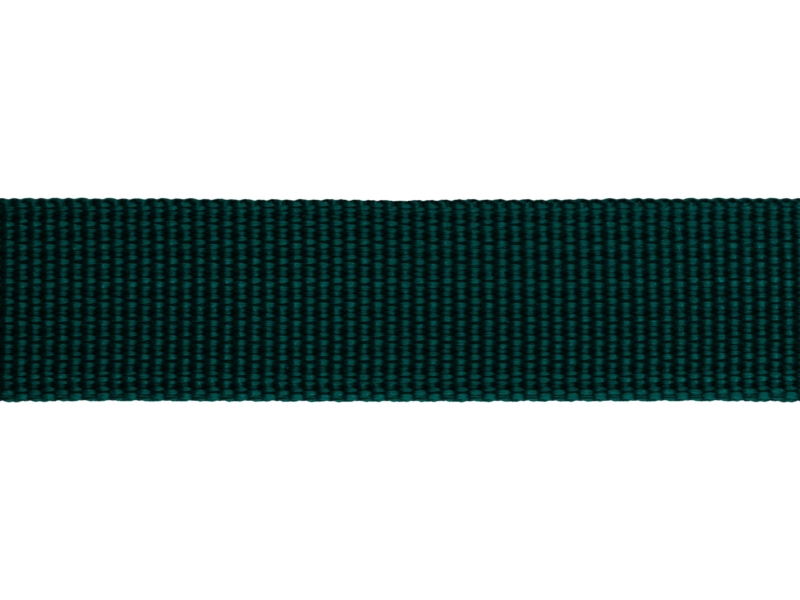 Grosgrain Webbing 20 mm (605) dark teal