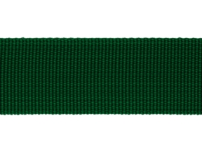 Rypsová stuha 30 mm zelená (876)