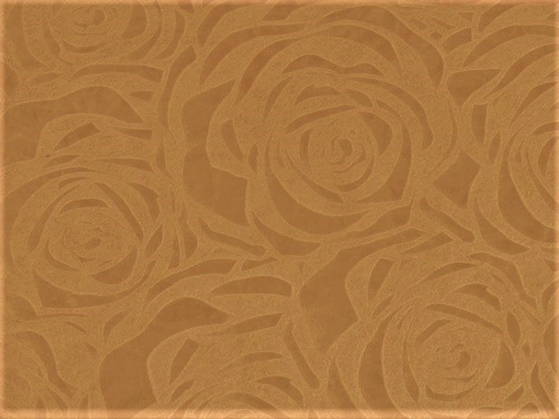 PP nonwoven fabrics eu 80 g/m2 beige 160 cm 1 mb