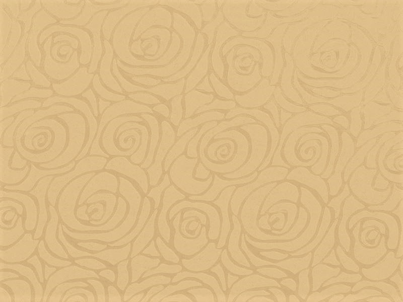 Polypropylenové netkané textilie eu 80 g/m2 béžová 160 cm 1 m