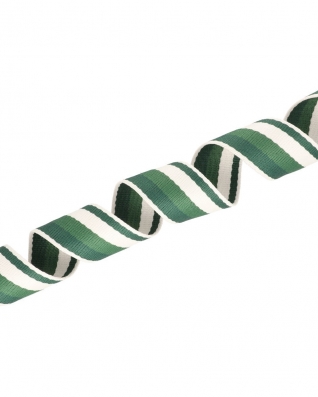 Polycotton tragband 38 mm/1,3 Grün 3T 50 yd