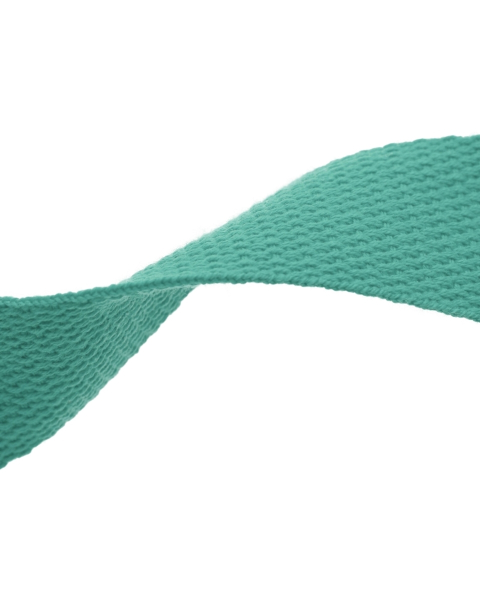 Polycotton Webbing (533) mint