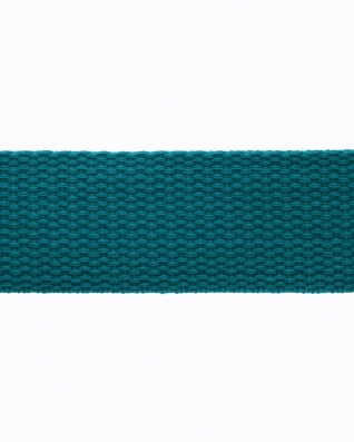 Polycotton Webbing (534) light turquoise
