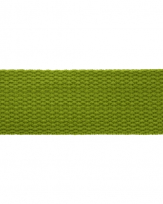 Polycotton Webbing (652) intense green