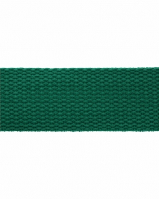 Polycotton Webbing (672) teal
