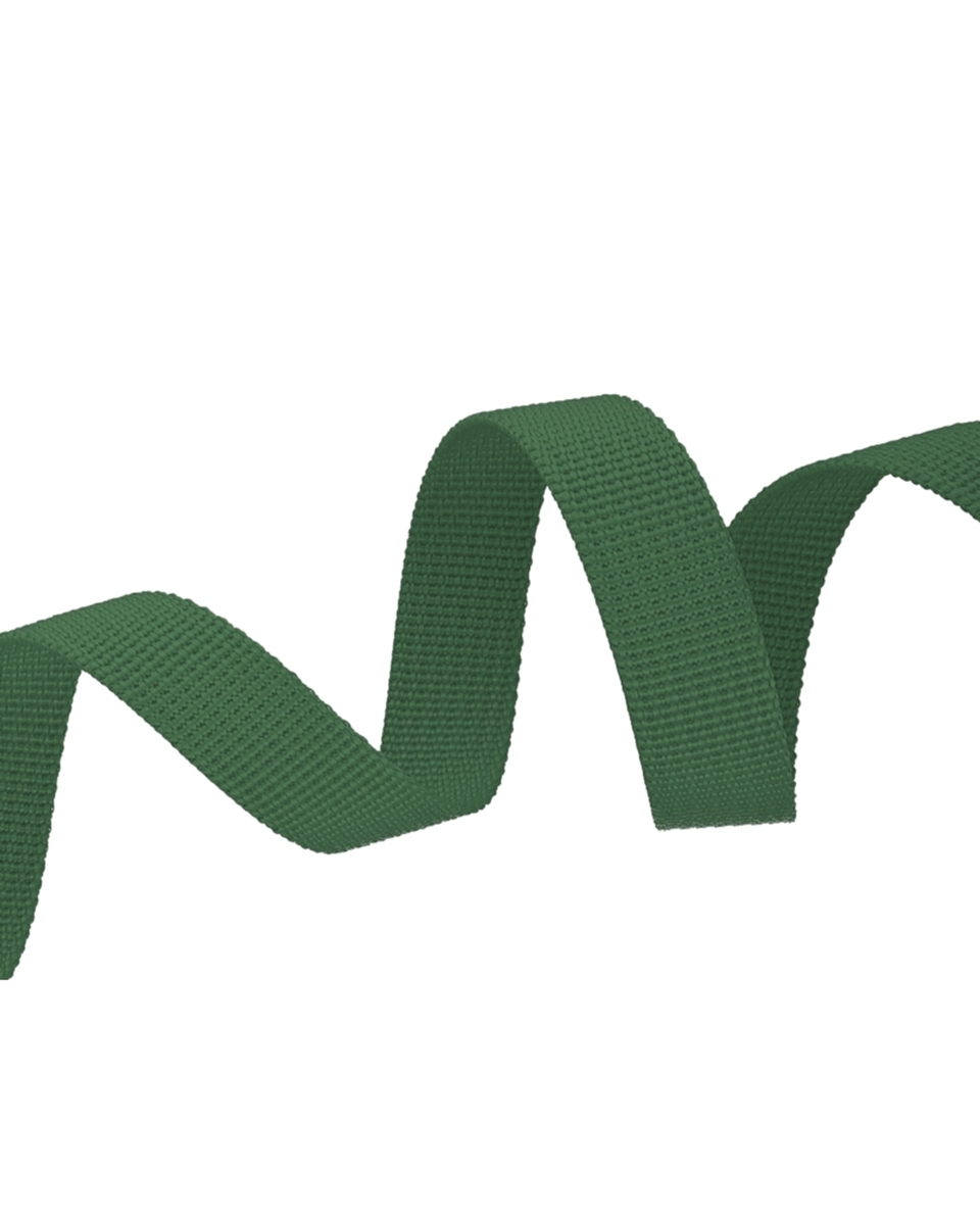 Polyester Webbing P10 (153) dark green