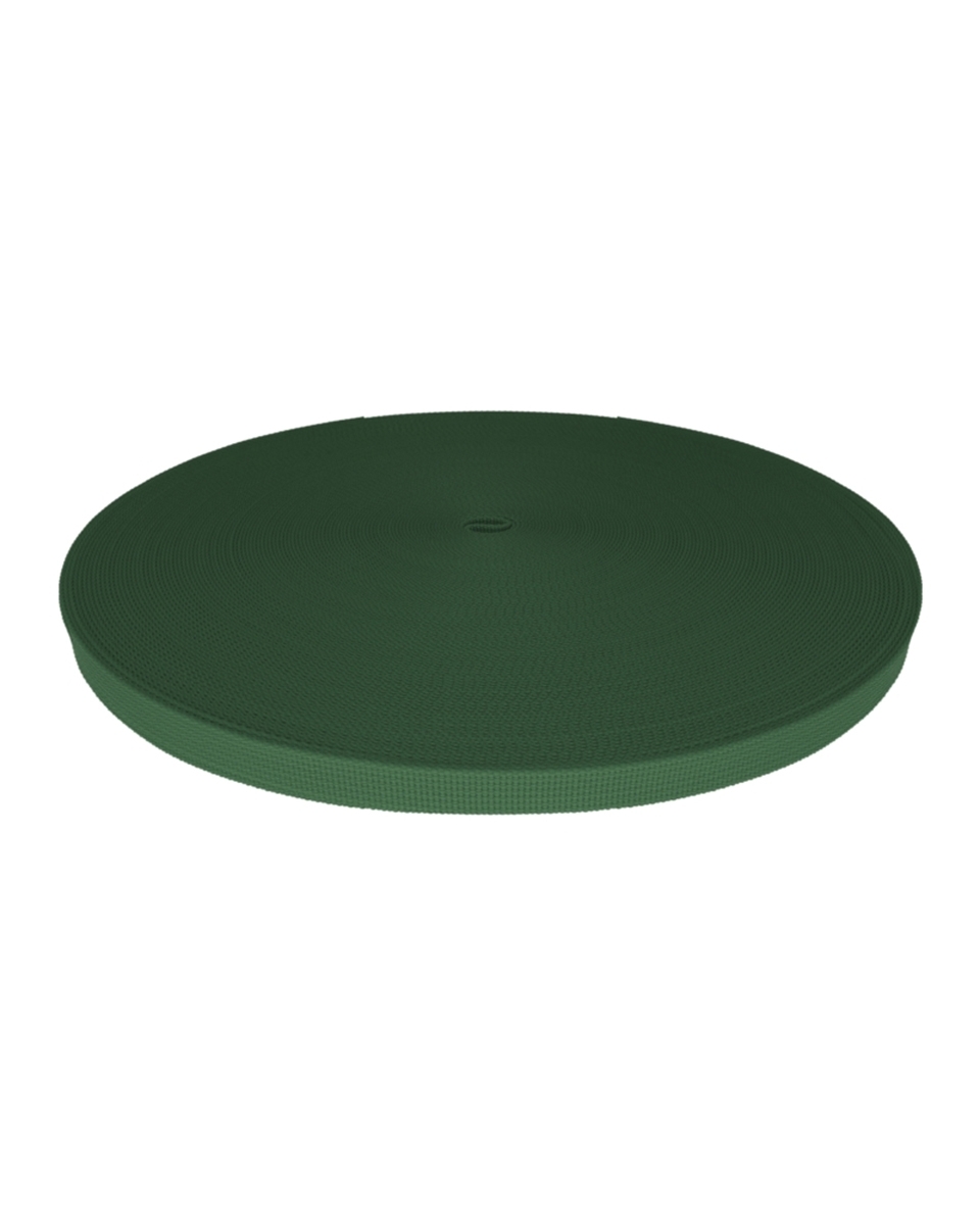 Polyester Webbing P10 (153) dark green