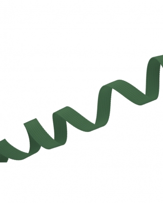 Polyester Webbing P10 (153) dark green