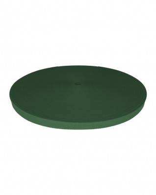 Polyester Webbing P10 (153) dark green