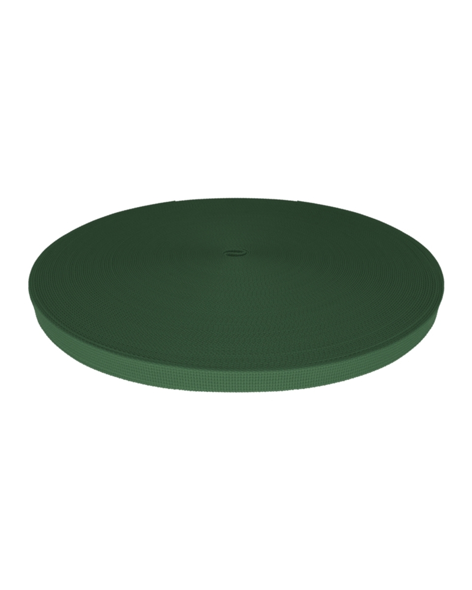 Polyester Webbing P10 (153) dark green