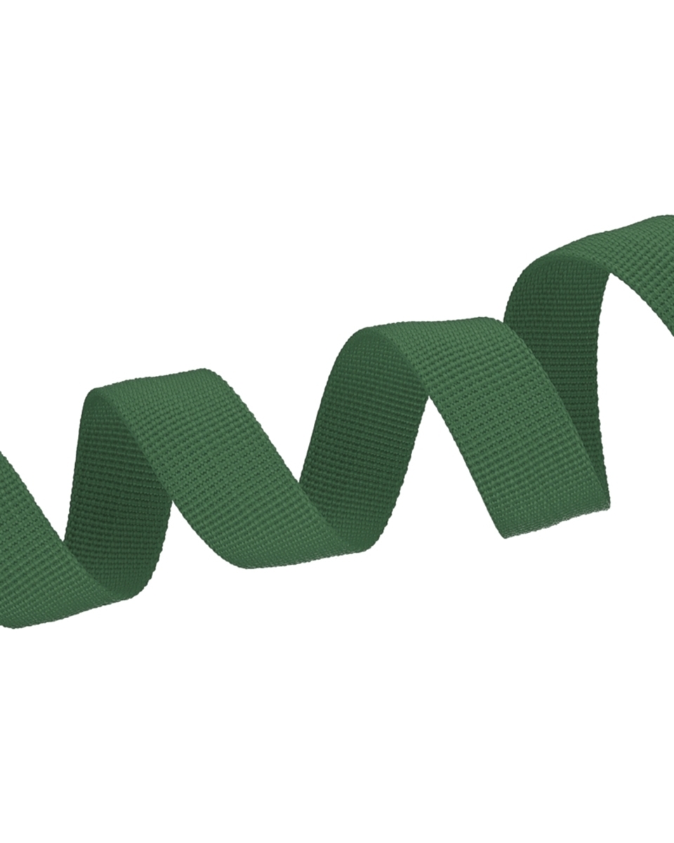 Polyester Webbing P10 (153) dark green