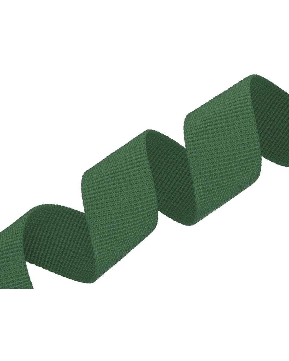Polyester Webbing P10 (153) dark green