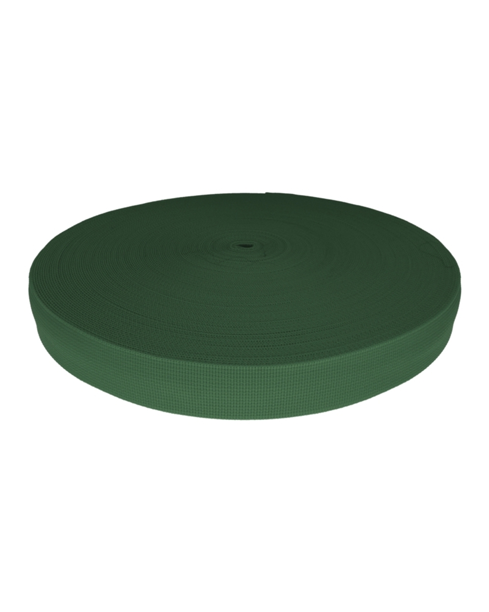 Polyester Webbing P10 (153) dark green