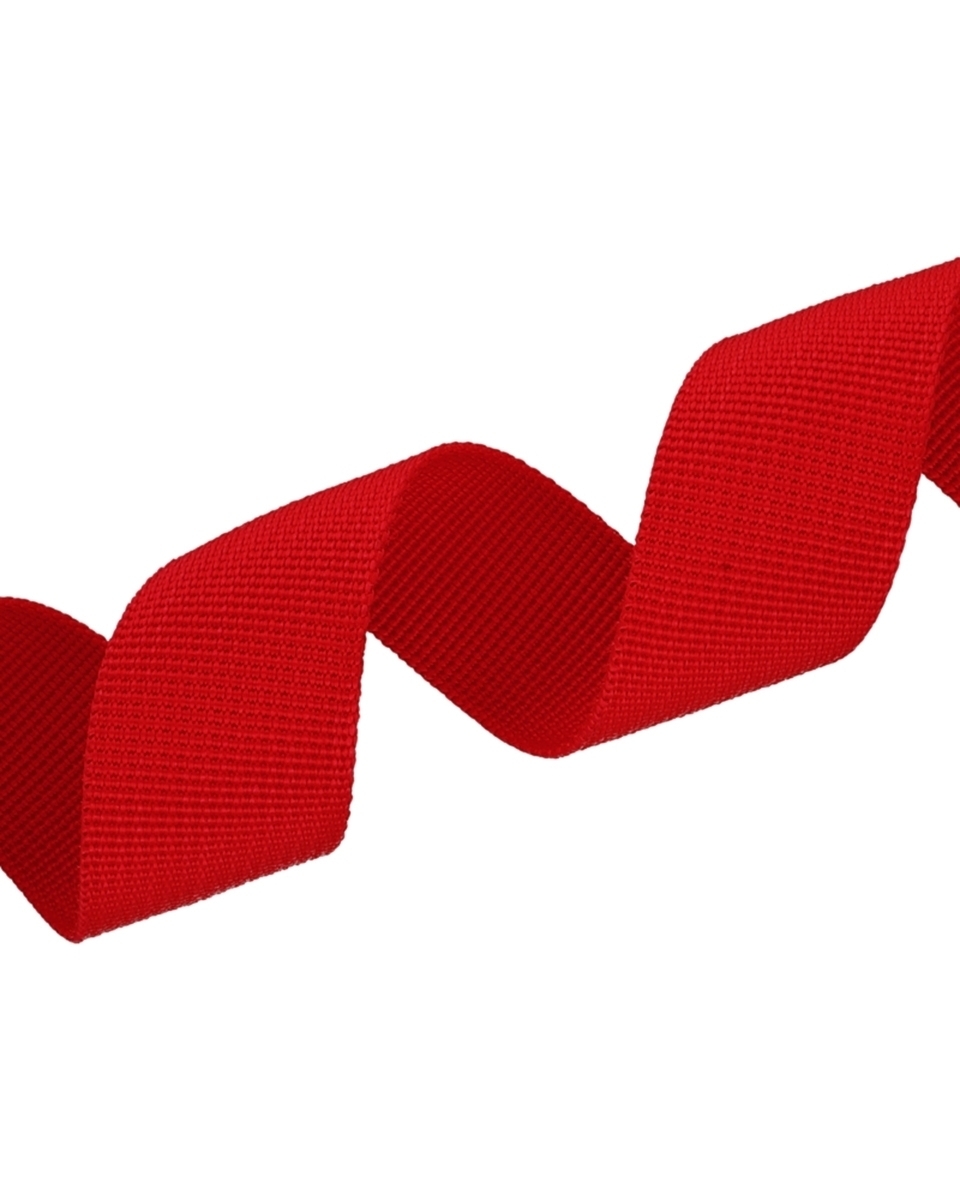 Polyester Webbing P10 (171) red