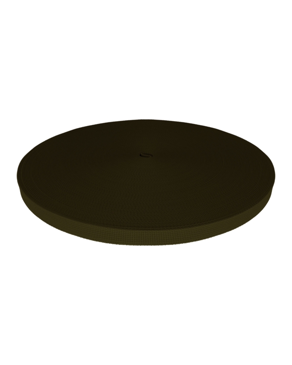 Polyester Webbing P10 (305) olive