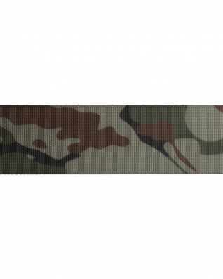 Polyester Webbing P10 WZ93 dark