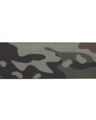 Polyester Webbing P10 WZ93 dark