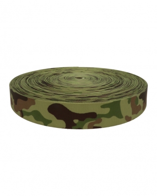 Polyester Webbing P10 WZ93 light