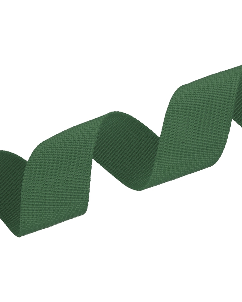 Polyester Webbing P10 (153) dark green