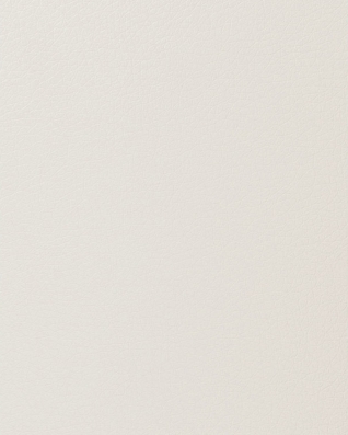 Kunstleder bono 501 Weiß 148 cm