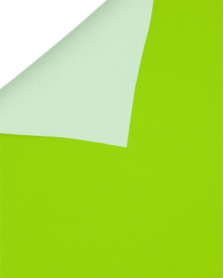 Imitation leather bono&nbsp607&nbsplight green 148        cm