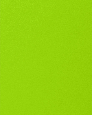 Imitation leather bono&nbsp607&nbsplight green 148        cm