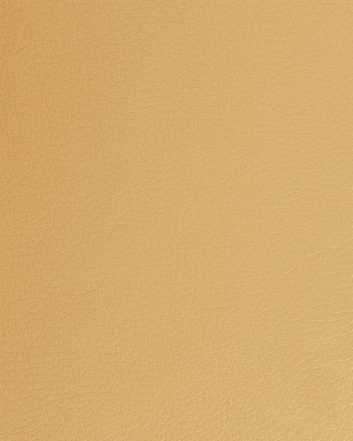 IMITATION LEATHER SOFT 02 BEIGE 140 CM 1 MB