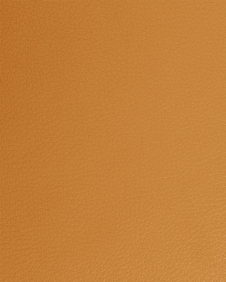 KUNSTLEDER SOFT   04 HELLBRAUN 140 CM 1 LM