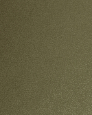 KUNSTLEDER  SOFT  07  OLIVGRÜN 140 CM 1 LM