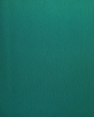 IMITATION LEATHER SOFT&nbspGREEN 140 CM 1  MB