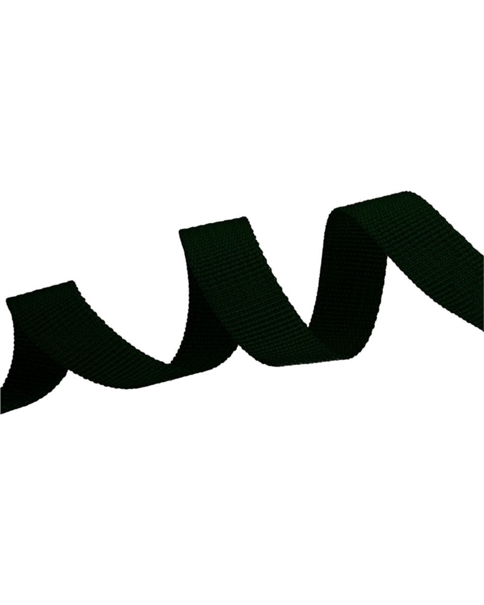 Grosgrain Webbing 10 mm (153) dark green