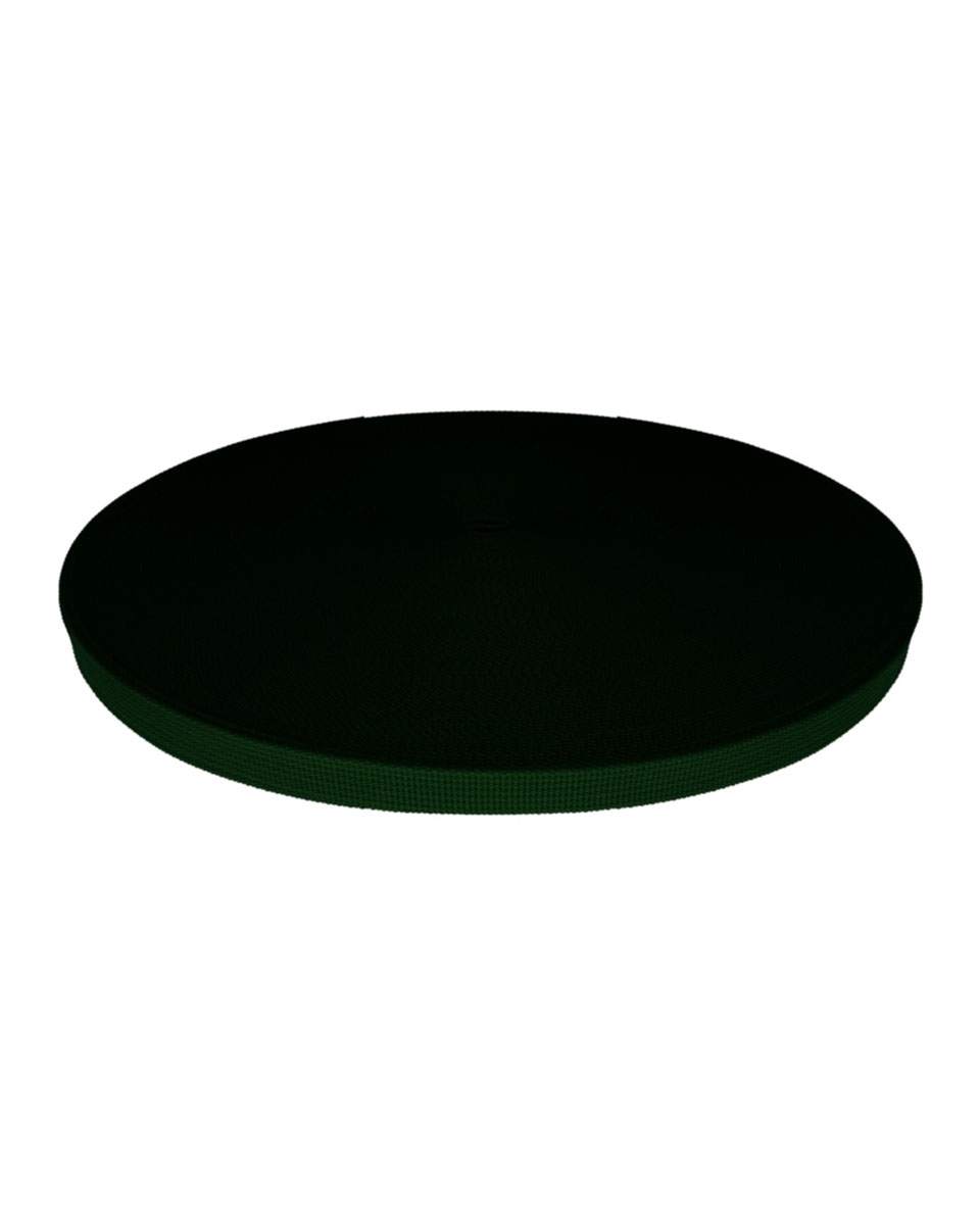 Grosgrain Webbing 10 mm (153) dark green