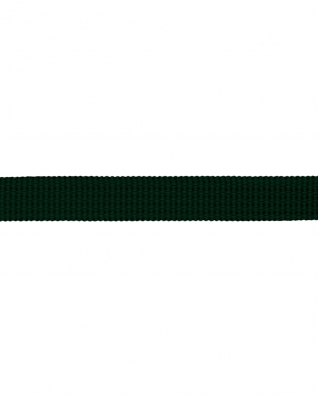 Grosgrain Webbing 10 mm (153) dark green