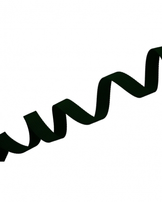 Grosgrain Webbing 10 mm (153) dark green