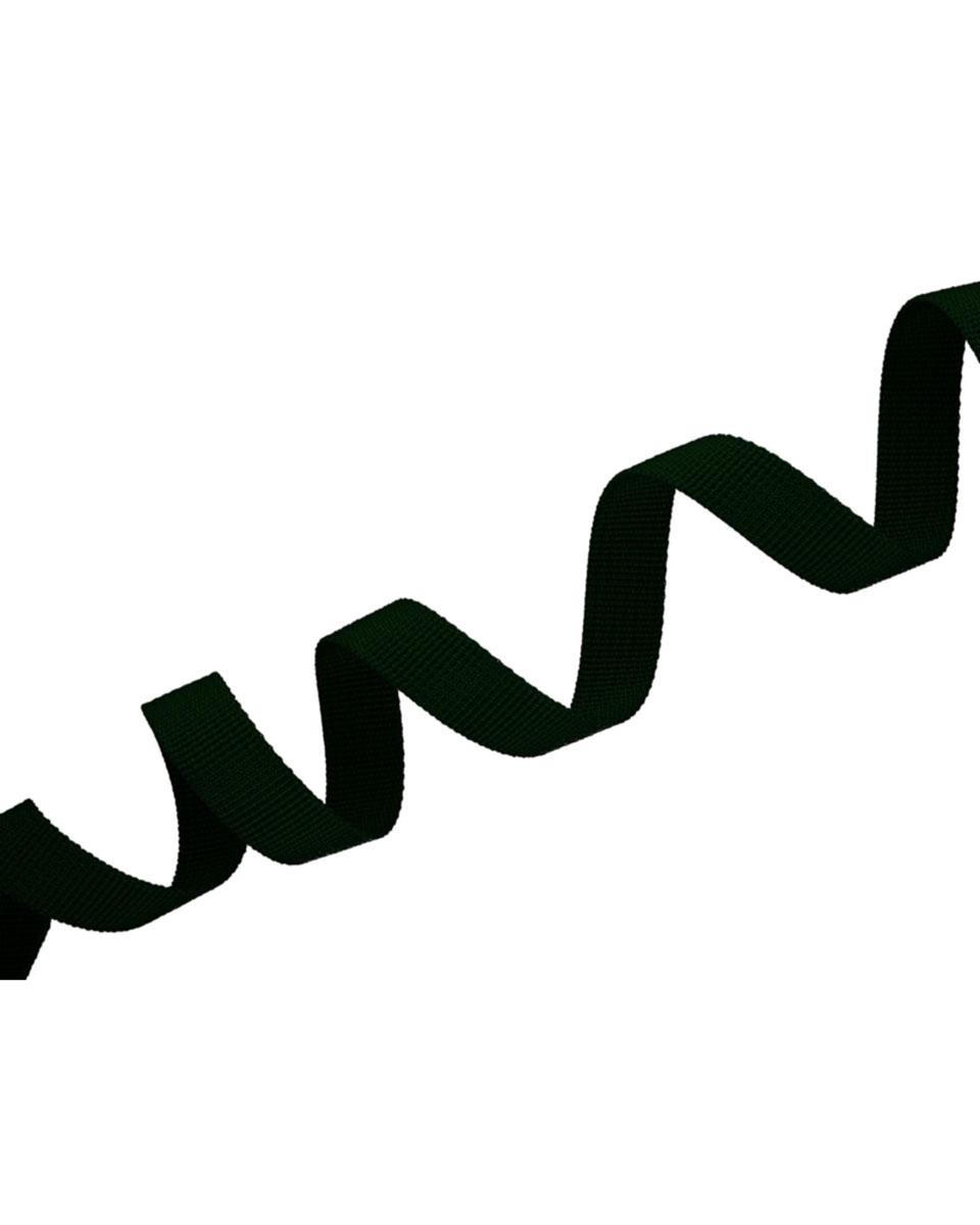 Grosgrain Webbing 10 mm (153) dark green