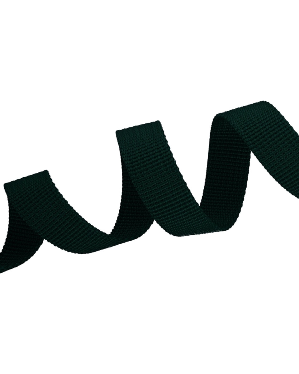 Grosgrain Webbing 15 mm (153) dark green