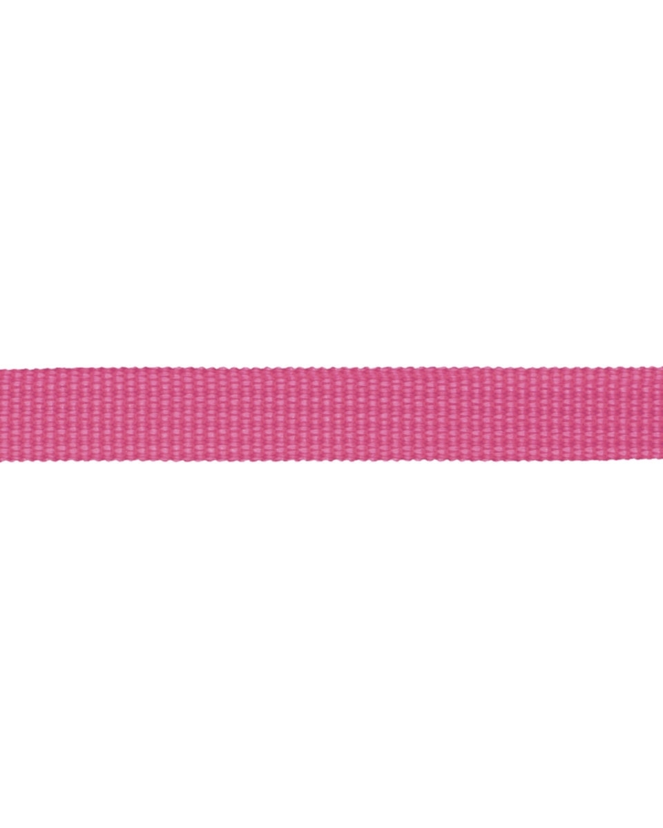 Grosgrain Webbing 10 mm (299) amaranth