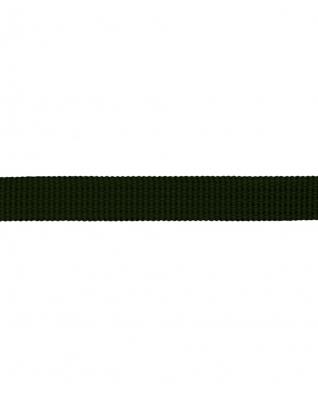 Grosgrain Webbing 10 mm (305) olive green